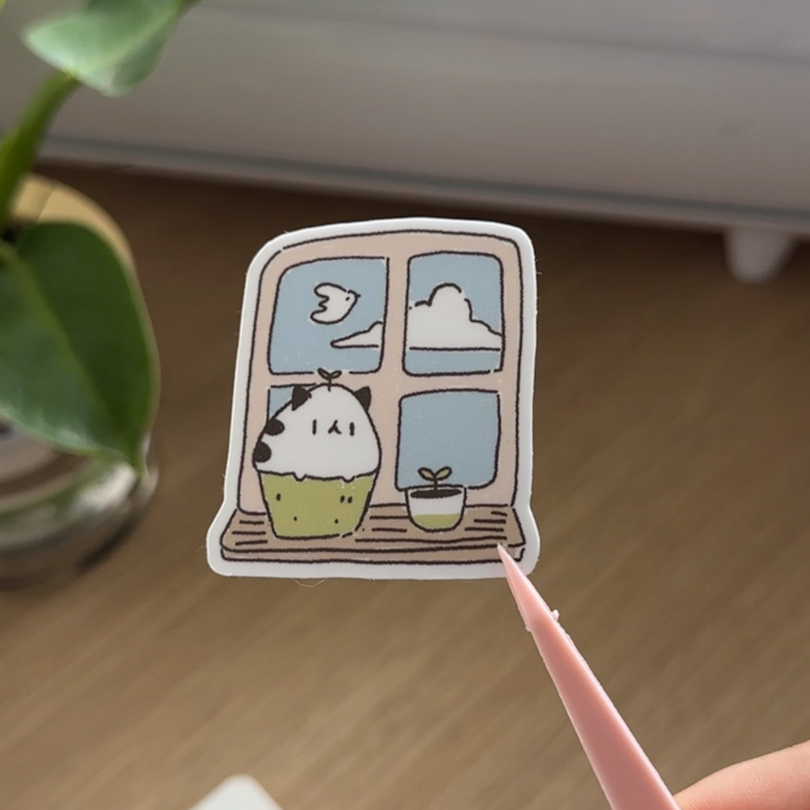 Window Plants